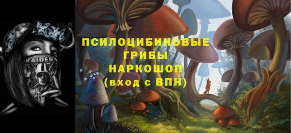 бошки Гусиноозёрск