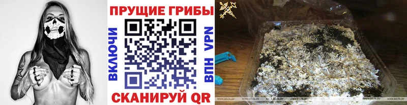 Псилоцибиновые грибы GOLDEN TEACHER купить цена Калининск