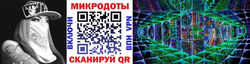 Псилоцибиновые грибы Cubensis Калининск